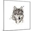 Wolf-Philippe Debongnie-Mounted Giclee Print