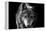 Wolf-Brian Dunne-Framed Premier Image Canvas