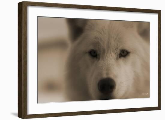 Wolf-Gordon Semmens-Framed Photographic Print