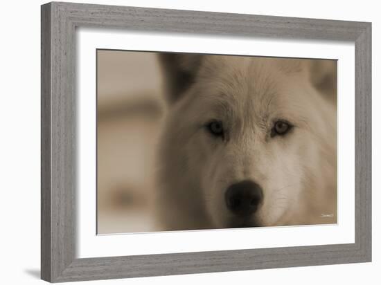 Wolf-Gordon Semmens-Framed Photographic Print