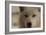 Wolf-Gordon Semmens-Framed Photographic Print