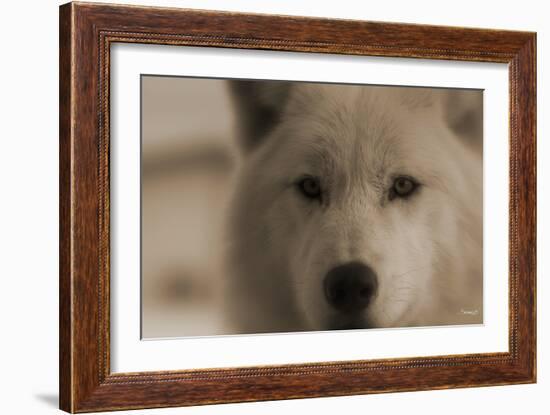 Wolf-Gordon Semmens-Framed Photographic Print