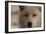 Wolf-Gordon Semmens-Framed Photographic Print