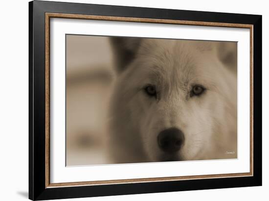 Wolf-Gordon Semmens-Framed Photographic Print