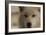 Wolf-Gordon Semmens-Framed Photographic Print