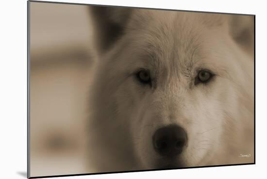 Wolf-Gordon Semmens-Mounted Photographic Print