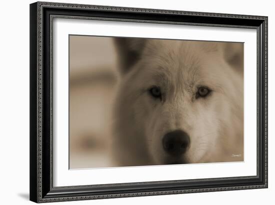 Wolf-Gordon Semmens-Framed Photographic Print