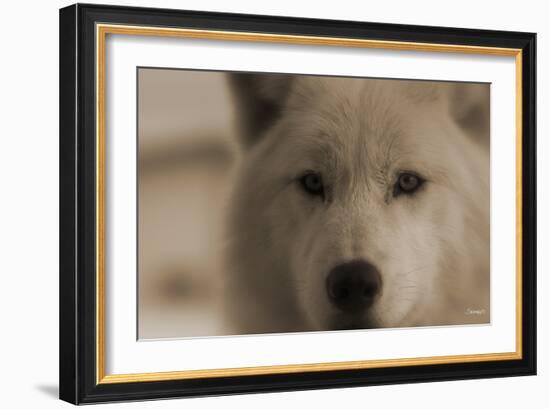 Wolf-Gordon Semmens-Framed Photographic Print