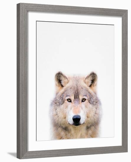 Wolf-Tai Prints-Framed Photographic Print