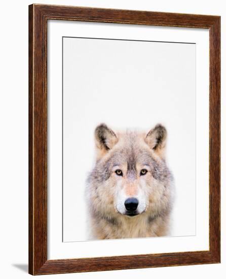 Wolf-Tai Prints-Framed Photographic Print