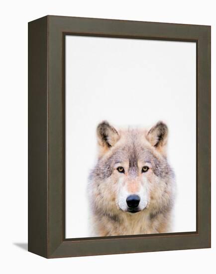 Wolf-Tai Prints-Framed Premier Image Canvas