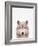 Wolf-Tai Prints-Framed Photographic Print