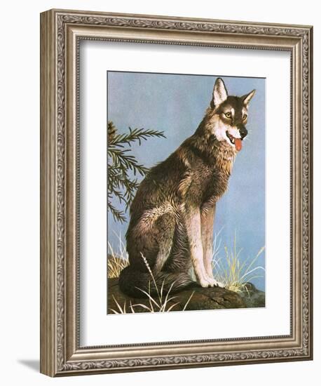 Wolf-English School-Framed Giclee Print