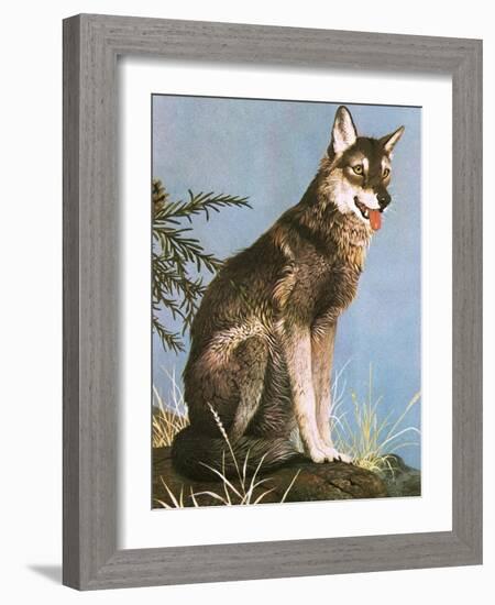 Wolf-English School-Framed Giclee Print