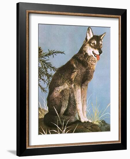 Wolf-English School-Framed Giclee Print