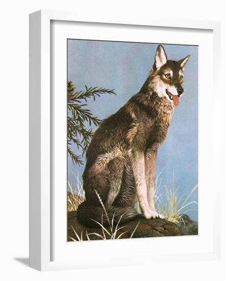 Wolf-English School-Framed Giclee Print