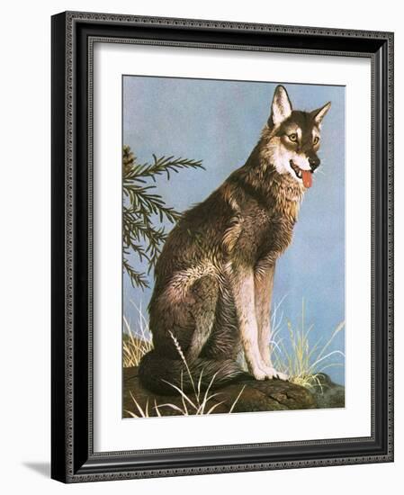 Wolf-English School-Framed Giclee Print