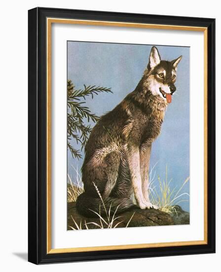 Wolf-English School-Framed Giclee Print