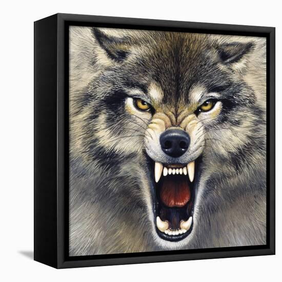 Wolf-Harro Maass-Framed Premier Image Canvas