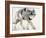 Wolf-Mark Adlington-Framed Giclee Print