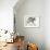 Wolf-Mark Adlington-Framed Giclee Print displayed on a wall