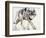 Wolf-Mark Adlington-Framed Giclee Print