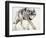 Wolf-Mark Adlington-Framed Giclee Print