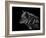 Wolf-Geraldine Aikman-Framed Giclee Print