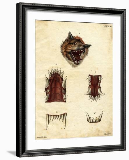 Wolf-null-Framed Giclee Print