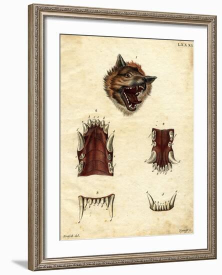 Wolf-null-Framed Giclee Print