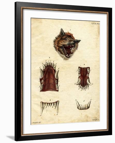 Wolf-null-Framed Giclee Print