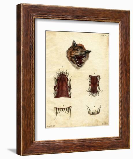 Wolf-null-Framed Giclee Print