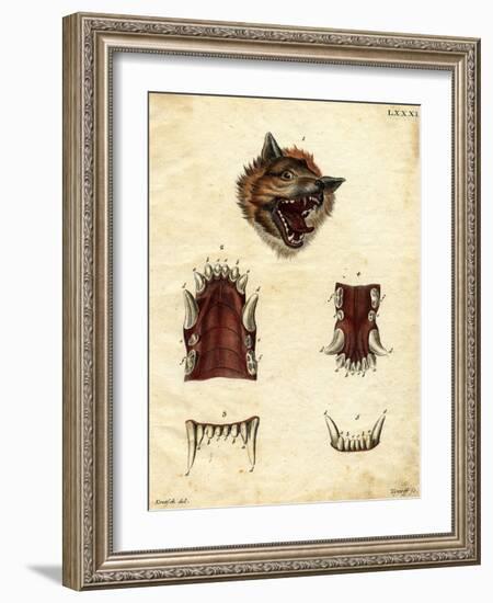 Wolf-null-Framed Giclee Print