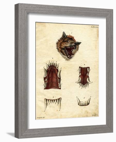 Wolf-null-Framed Giclee Print