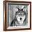 Wolf-PhotoINC Studio-Framed Photographic Print