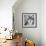 Wolf-PhotoINC Studio-Framed Photographic Print displayed on a wall