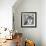 Wolf-PhotoINC Studio-Framed Photographic Print displayed on a wall