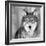 Wolf-PhotoINC Studio-Framed Photographic Print