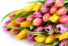 Bouquet with Fresh Tulips-Wolfgang Filser-Photographic Print