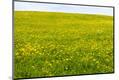 Premium Photographic Print