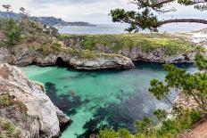 Point Lobos State Natural Reserve-Wolterk-Photographic Print