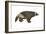 Wolverine (Gulo Gulo), Weasel, Mammals-Encyclopaedia Britannica-Framed Art Print