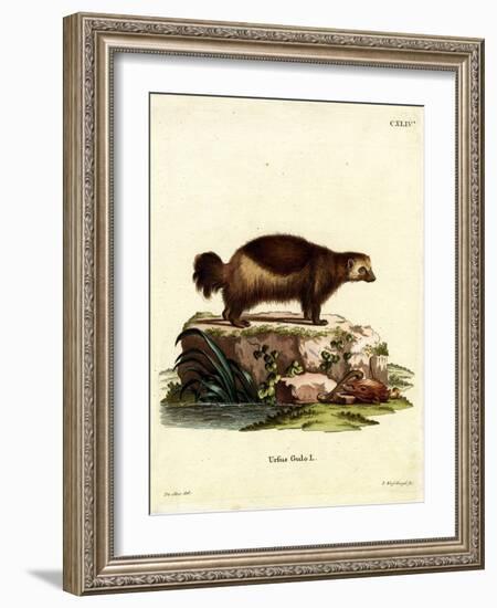 Wolverine-null-Framed Giclee Print