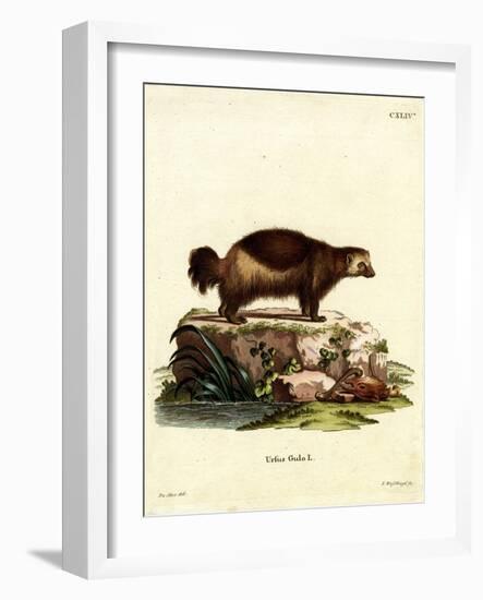 Wolverine-null-Framed Giclee Print