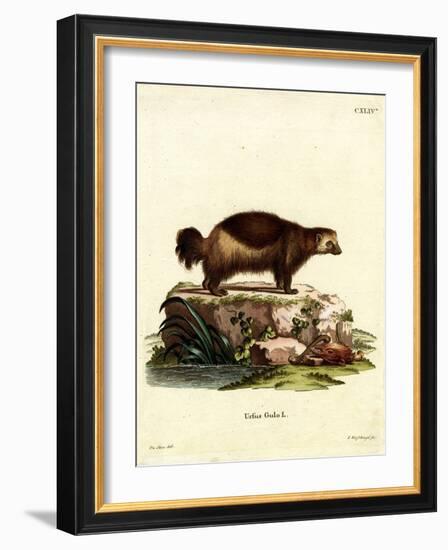 Wolverine-null-Framed Giclee Print