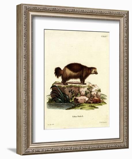 Wolverine-null-Framed Giclee Print