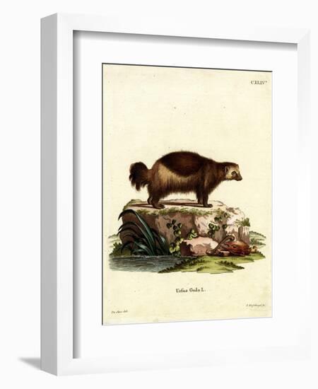 Wolverine-null-Framed Giclee Print