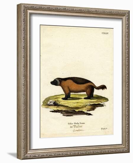 Wolverine-null-Framed Giclee Print