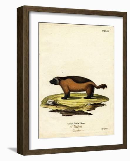 Wolverine-null-Framed Giclee Print