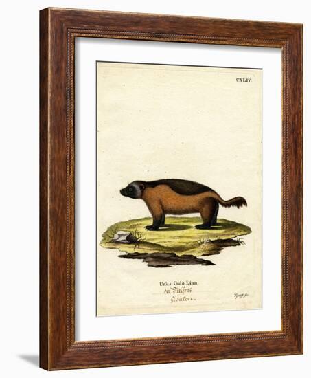 Wolverine-null-Framed Giclee Print